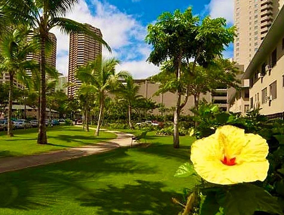 beautiful park outside is great for fresh air, walks and pets.