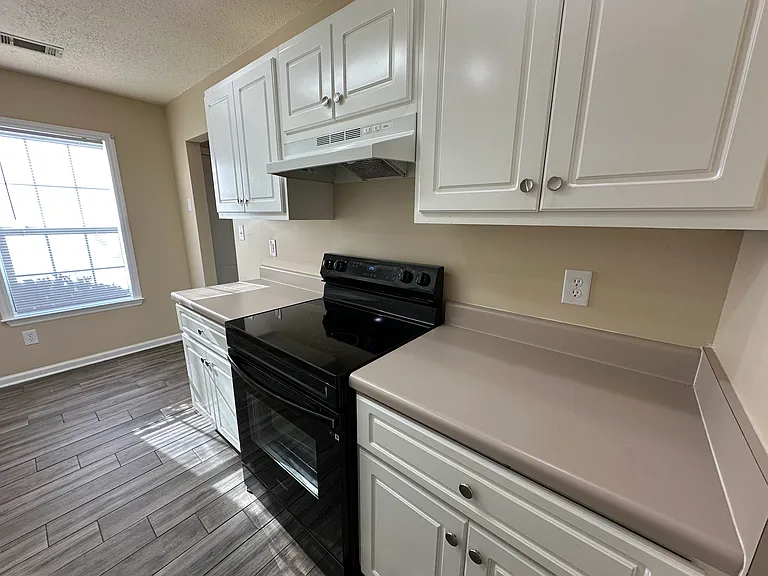 210 Sandy Run — Photo 8