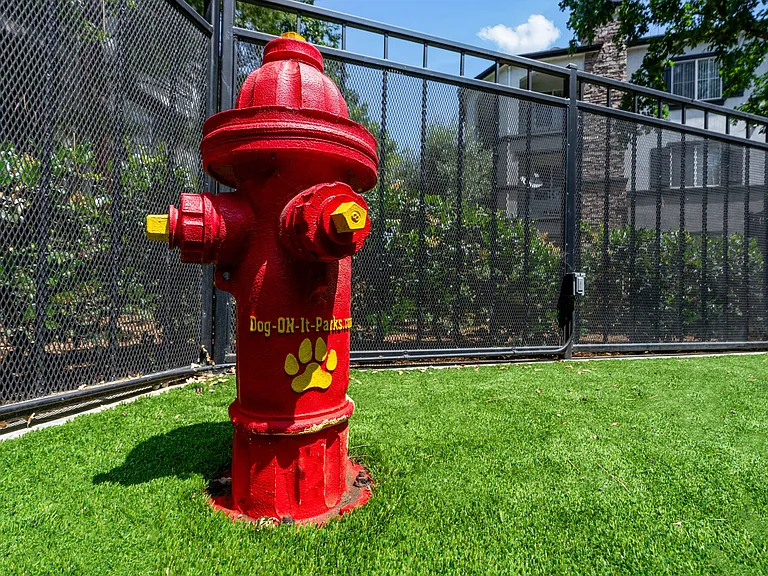 Red Fire Hydrant Detail at Private Resident Dog Park