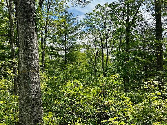 4th image of 19 Beech Creek Mountain Rd
