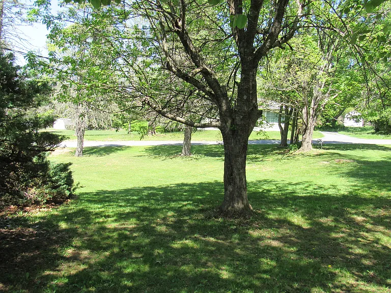 340 Goheen St — Photo 7