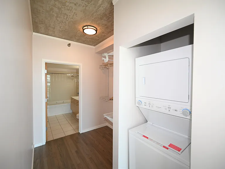 1845 S Michigan Ave #1402 — Photo 9