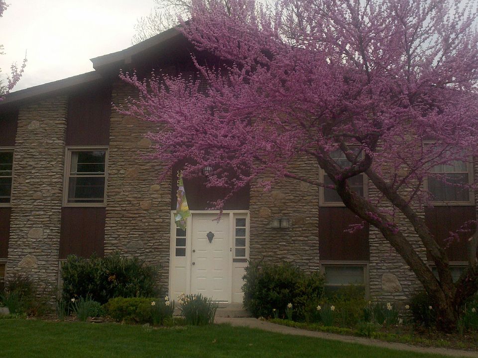 Easy Maintenance Landscaping