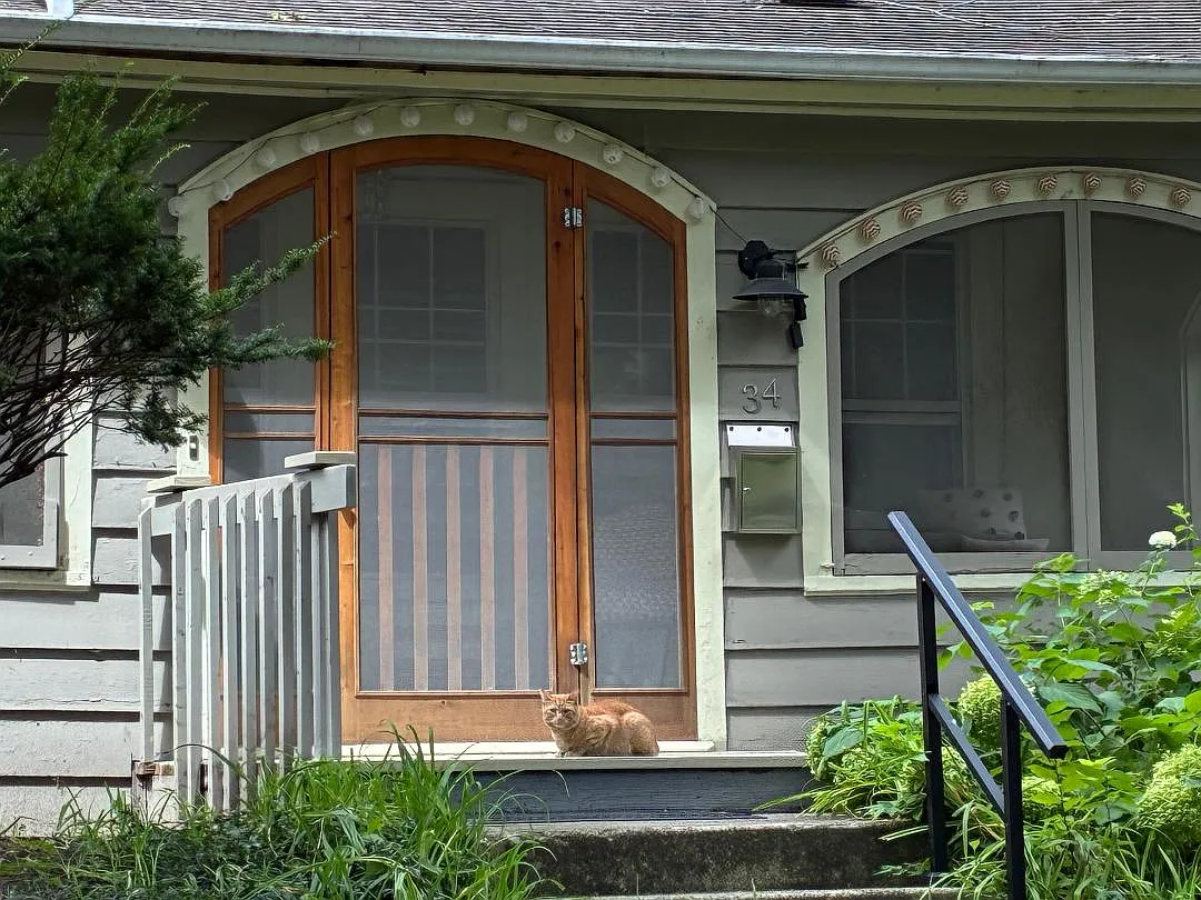 1 bed, 820 sqft, $1,150 — Photo 1