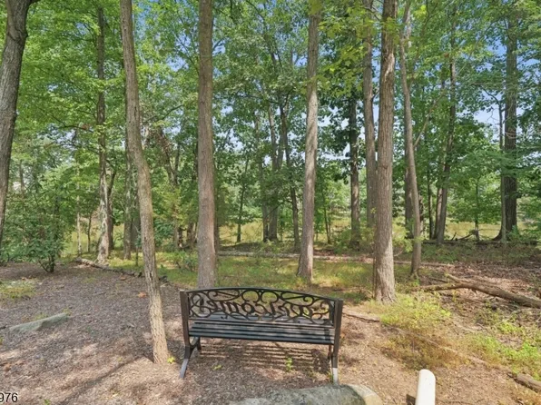905 S Branch Dr, Readington Twp., NJ 08889