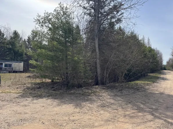 10736 Jones Blvd, Carp Lake, MI 49718