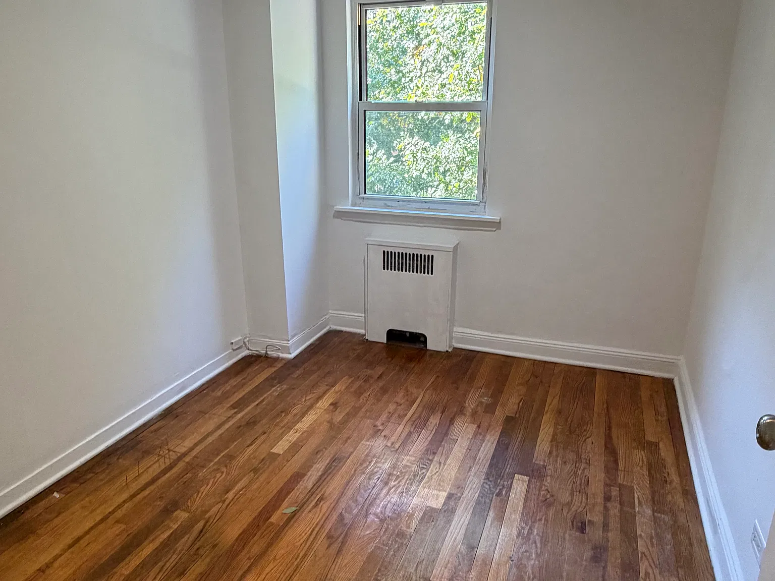 3 bed, $3,000 — Photo 4
