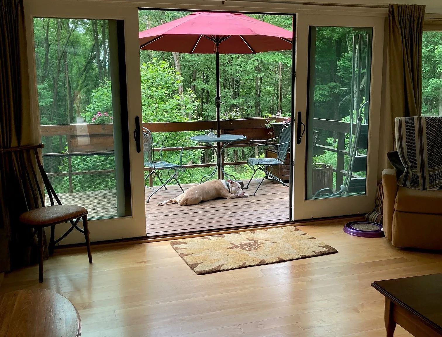 1 bed, 900 sqft, $1,400 — Photo 2
