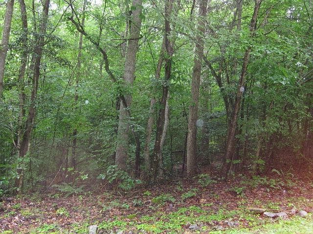 1st image of 19 Owls Nest Dr