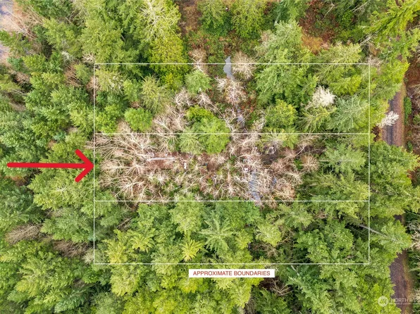 84 W Go Onna Drive, Quilcene, WA 98376