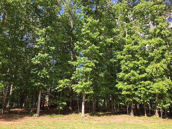 Side Yard