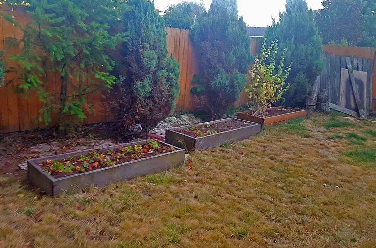 garden beds