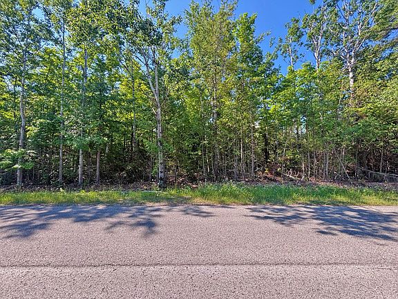 4th image of V/l Pineview Dr