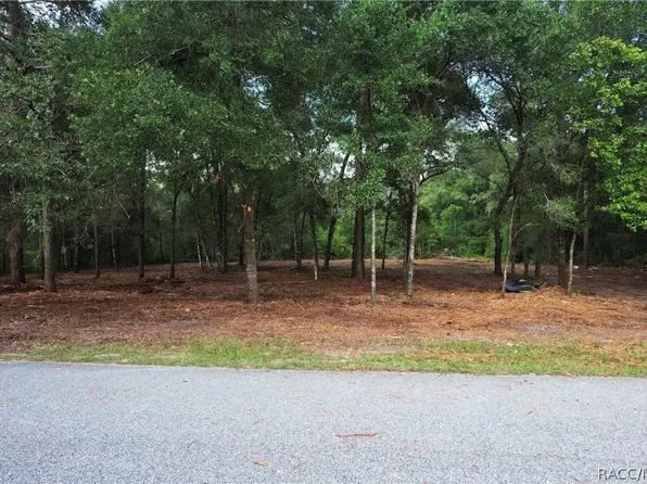 6777 N Castlebury Rd, Hernando, FL 34442