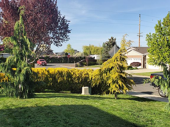 Front Yard View in Spring