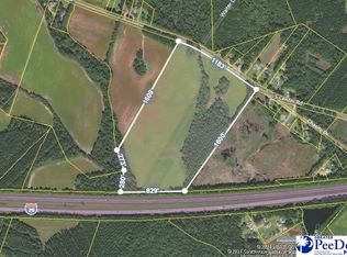 S Center Rd, Darlington, SC 29532