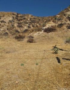 0 Silver St, Castaic, CA, 00000