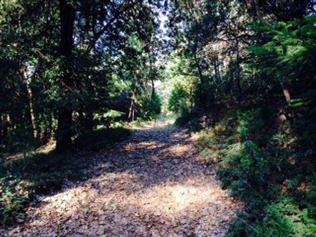 2nd image of 1 Bottle Hill Rd