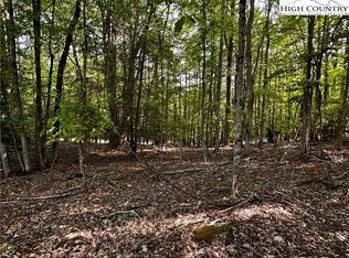 805 Pine Ridge Rd, Banner Elk, NC 28604