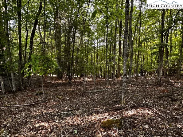 805 Pine Ridge Road, Beech Mountain, NC 28904