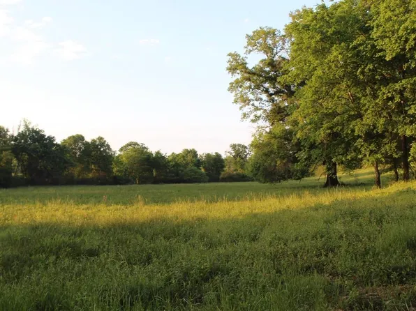 299 Harmony Ln Tract 2, Amity, AR 71921
