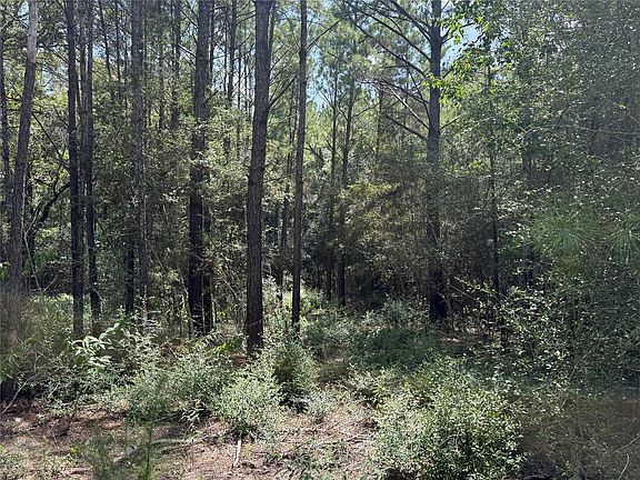 4th image of 24805 Nottingham Cir