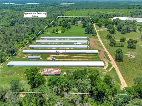 339 Bradshaw Ln, Nacogdoches, TX 75946