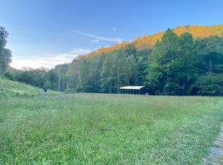 0 Jones Run Rd, Lumberport, WV 26386