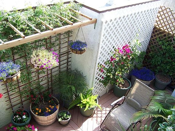 Back Patio 