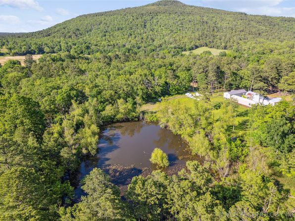 31384 W Tucker Knob Rd, Kinta, OK 74552