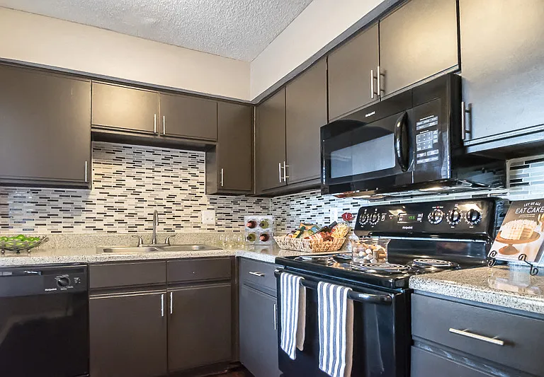 Contemporary Apartment Home