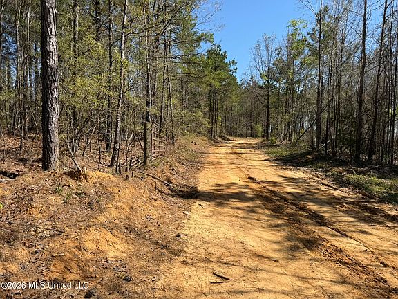 2nd image of County Road 4102