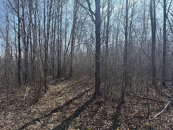 5th image of Beaver Claw Rd