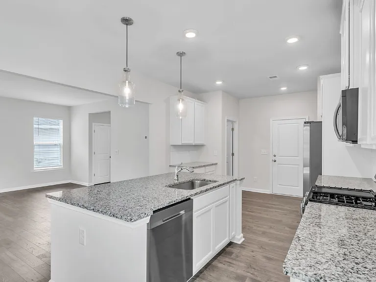 909 Cherry Plum Dr — Photo 9