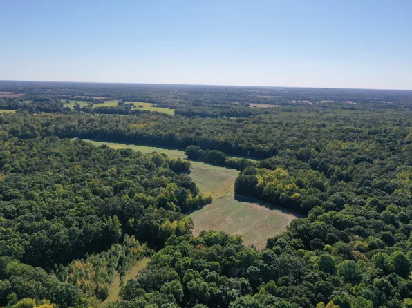 0 Ross Rd, Mc Kenzie, TN 38201