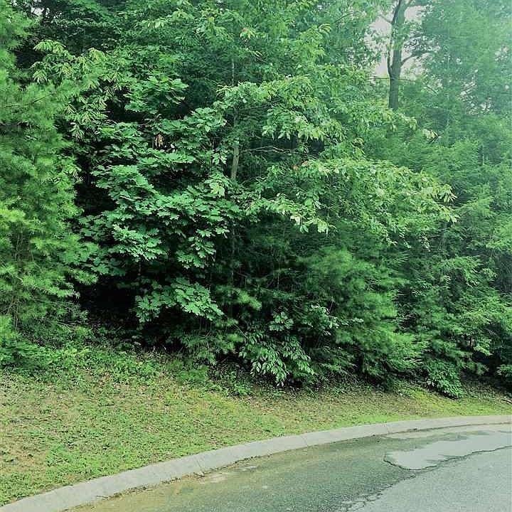 1st image of LOT 217 Golden Eagle Way Lot 21