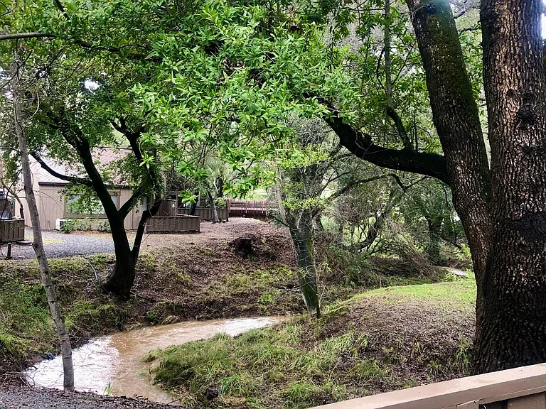 Private patio view in natural creek setting