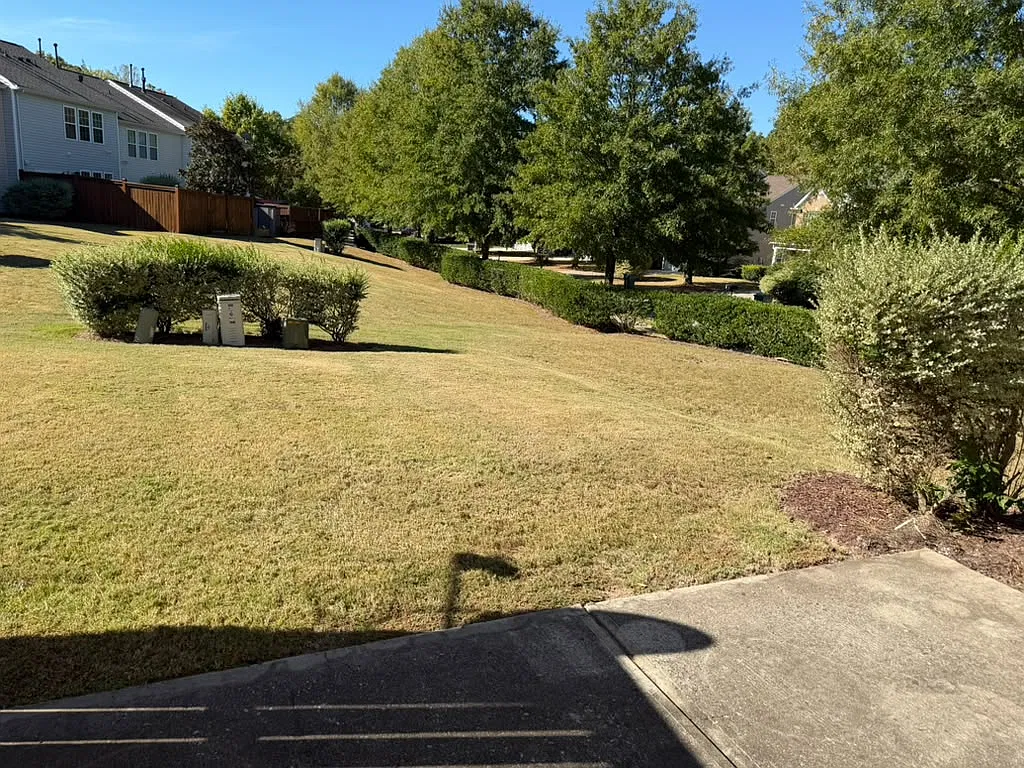 3 bed, 2.5 bath, 1564 sqft, $1,950 — Photo 3