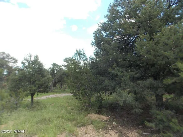 3485 Carefree Rd, Heber, AZ 85928