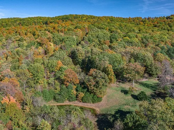14161 Low Gap Rd, West Fork, AR 72774