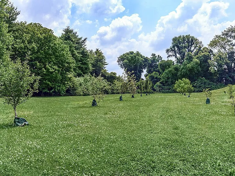 Chelsea Place — Photo 61