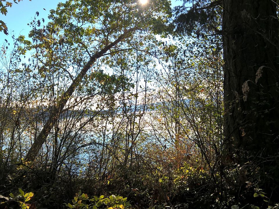 1st image of Hood Canal Dr