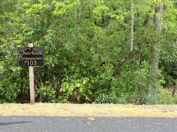 L-103 Brasstown Rd, Brasstown, NC 28902
