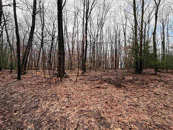 3rd image of 0 Old Walpole/Valley View Road