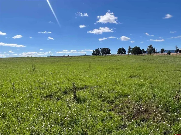 Lot 7 Road N.2, Mancos, CO 81328