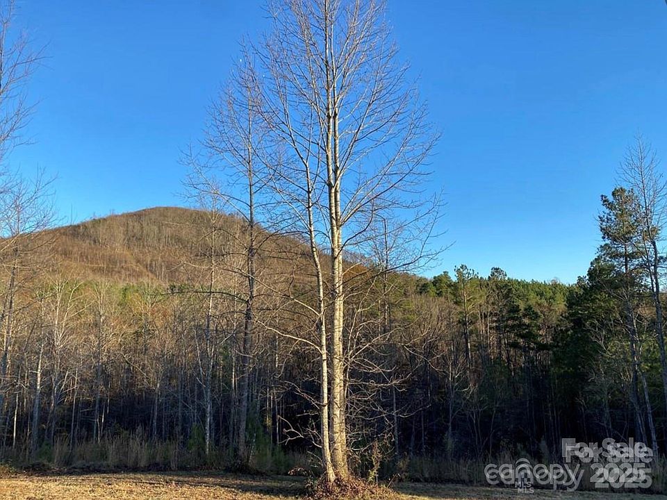 2nd image of 533 Pilot Ridge Rd #26