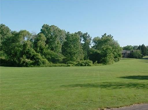 2nd image of 314 Park Meadows Dr