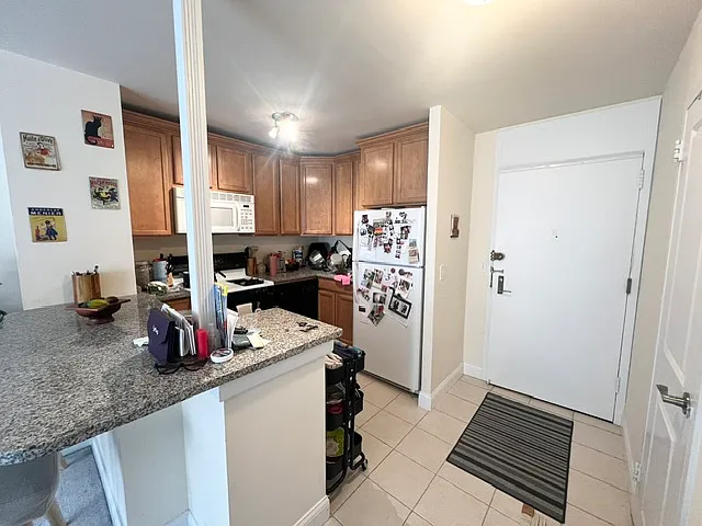 2800 N Lake Shore Dr #1311 — Photo 7