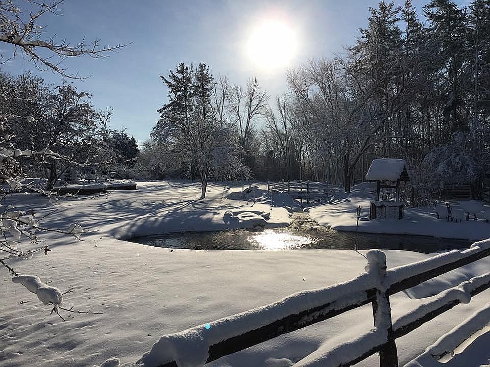 Sapphire Ranch/Winter Beauty