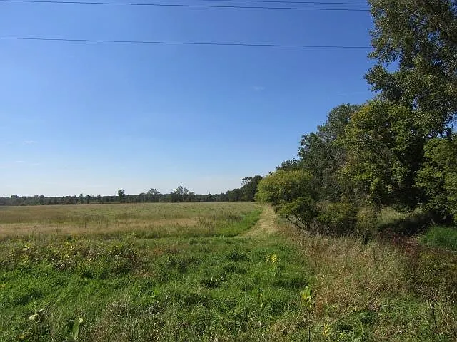S Morrice Rd photo 1